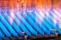 Bicker gas fired boilers